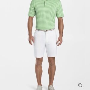 Peter Millar Summer Comfort Green Striped Performance Mesh Polo Size XL.